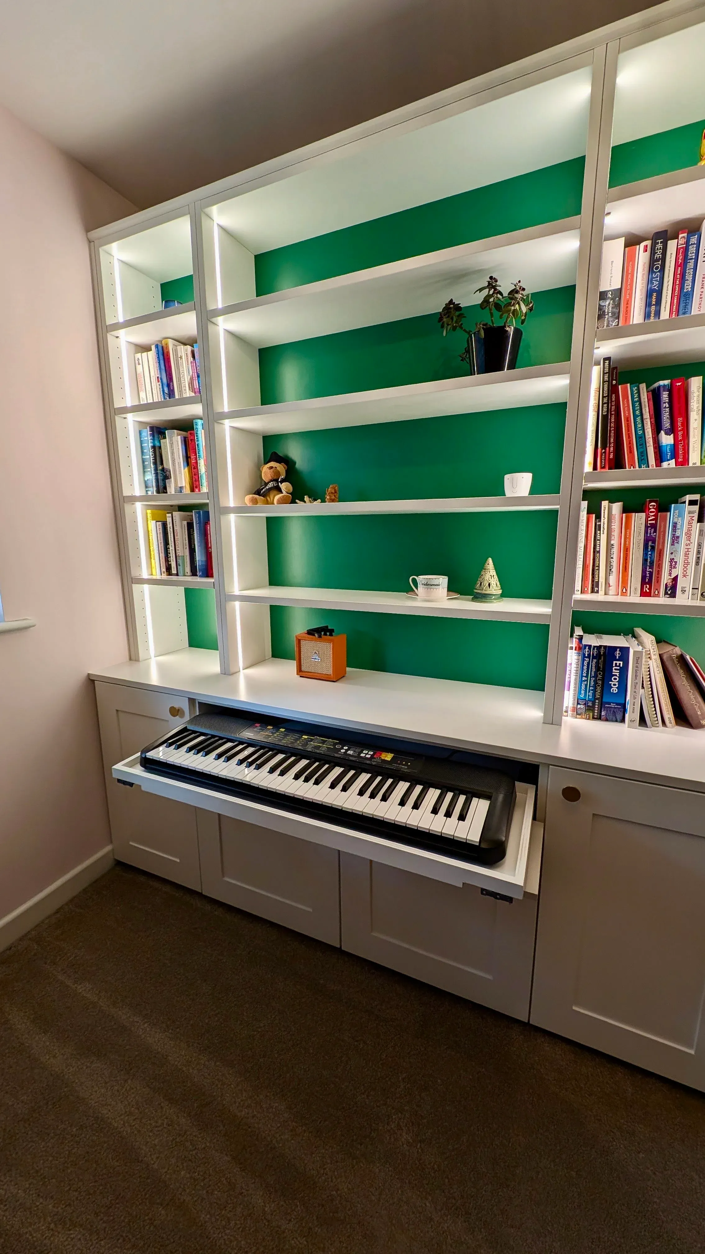 LED Lit Bookcase, Seagull Bespoke Interiors